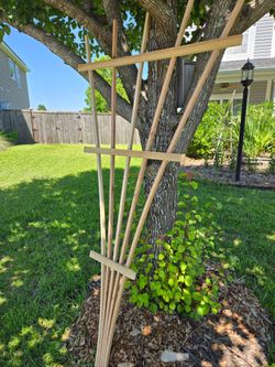 6ft Cedar Fan Trellis