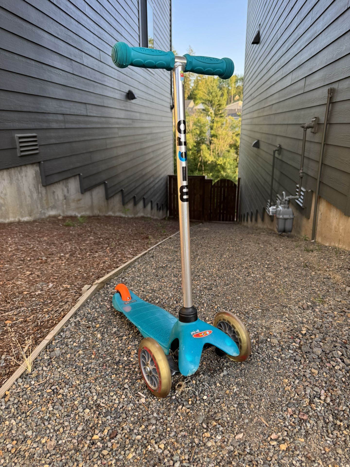 Micro Mini Kickboard for Under 5yo