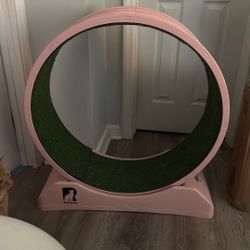 Cat Exercise Wheel