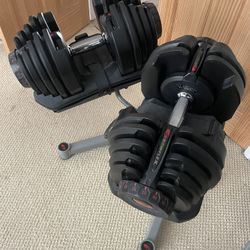 Adjustable Bowflex Dumbbells, Stand And Bench