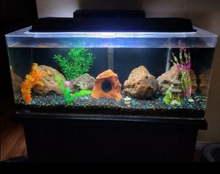 Aquarium