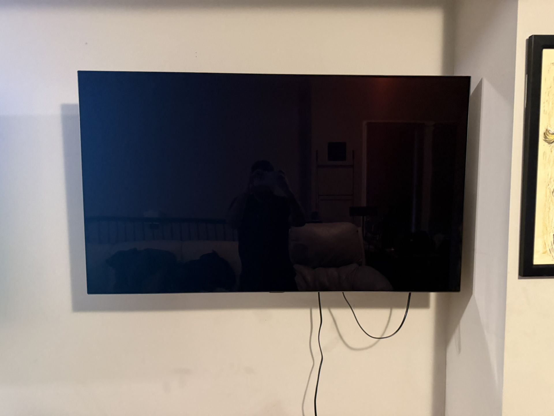 LG 55" C8 Repair or Parts