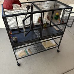 Bird Cage 