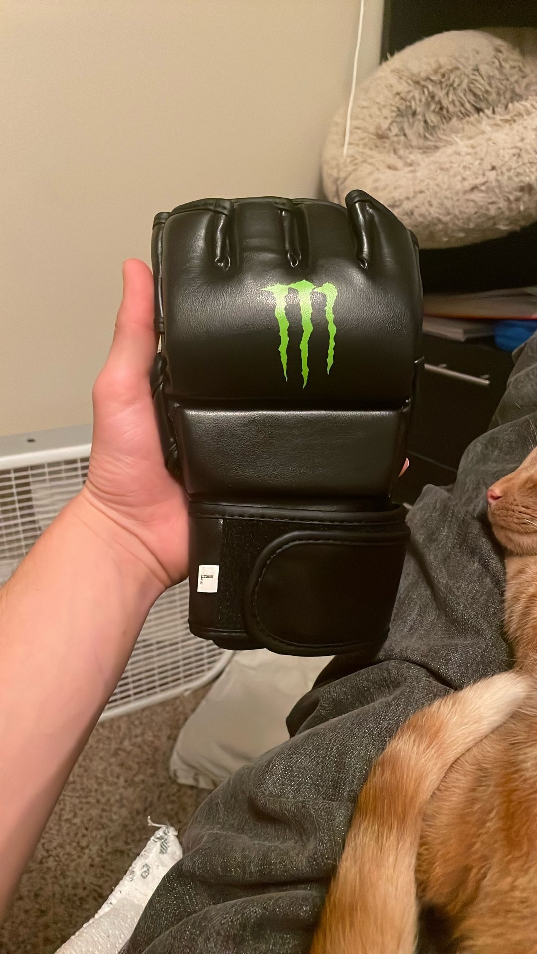Monster mma Gloves