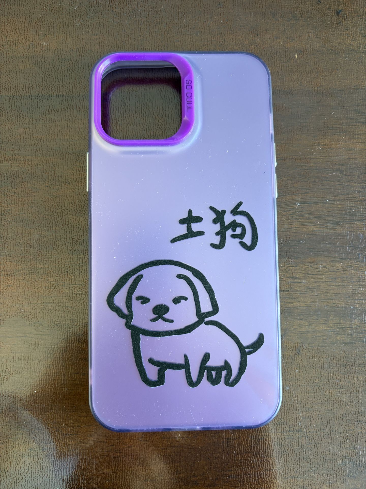 iPhone 13 Pro Max Case