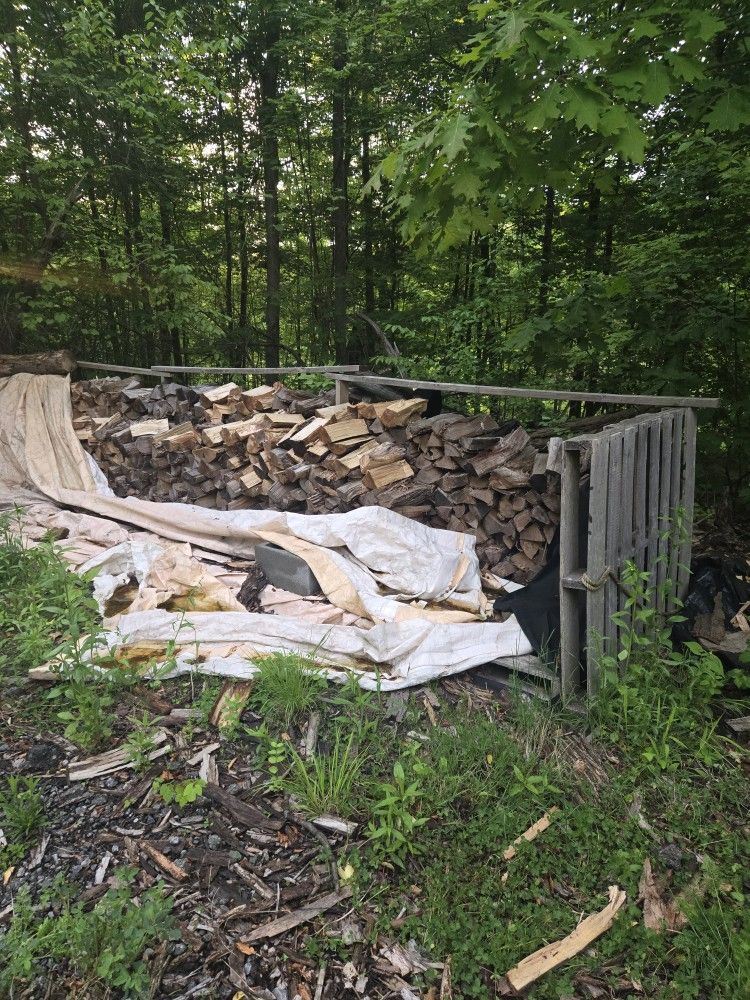 Firewood For Sale $25 for 50 Pieces (WE DELIVER) read Description