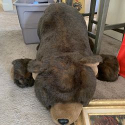 Giant Teddy Bear!! ONLY $20!!
