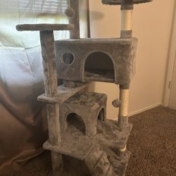 Cat Condo