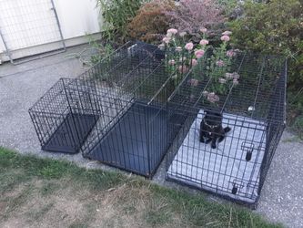 Large and small pet crate kennel.