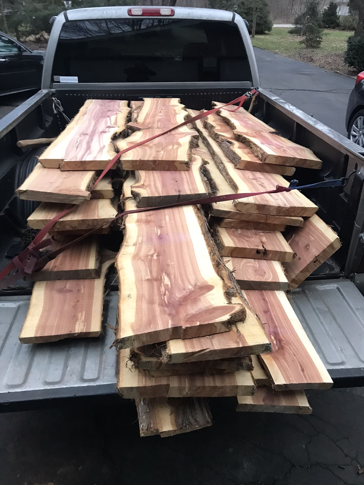Aromatic Cedar