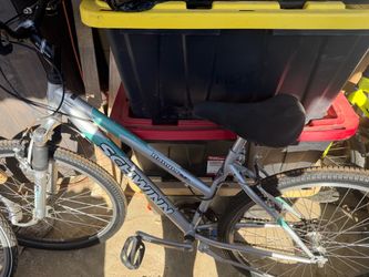 Schwinn Ranger Mountain Bike