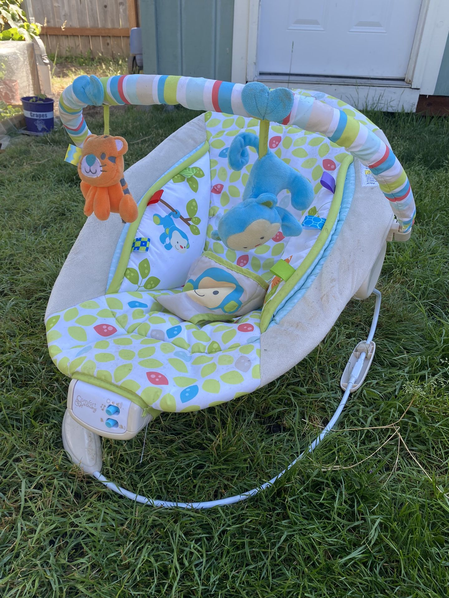 Baby Rocker $10 Pick Up Only