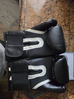 Everlast pro style training gloves