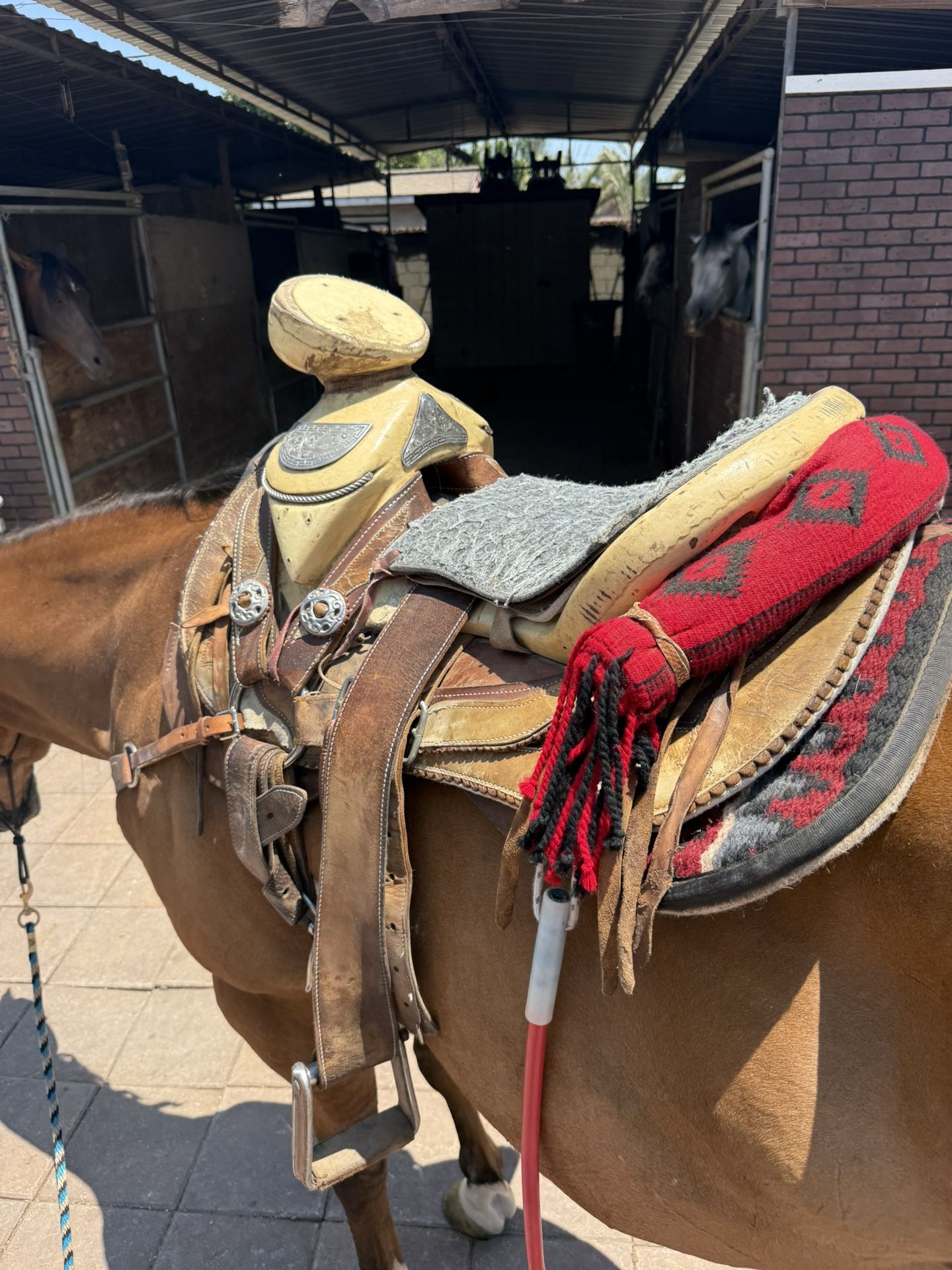 Horse Saddle