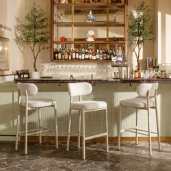Aurea Light Gray Barstool (Set of 2)
