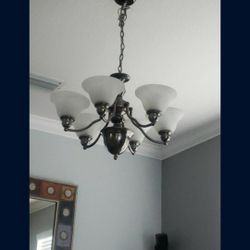 Stainless Steel Light Fixture-6 Bulbs 
