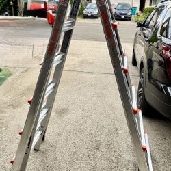 Little Giant Ladder