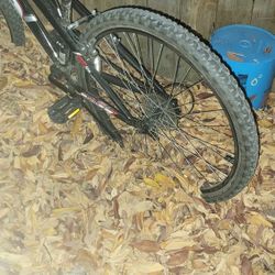 Pacific Evolution Mtb 