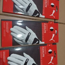 Lady's Large Right Handed Gloves