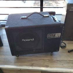 ROLAND🎛PM-3