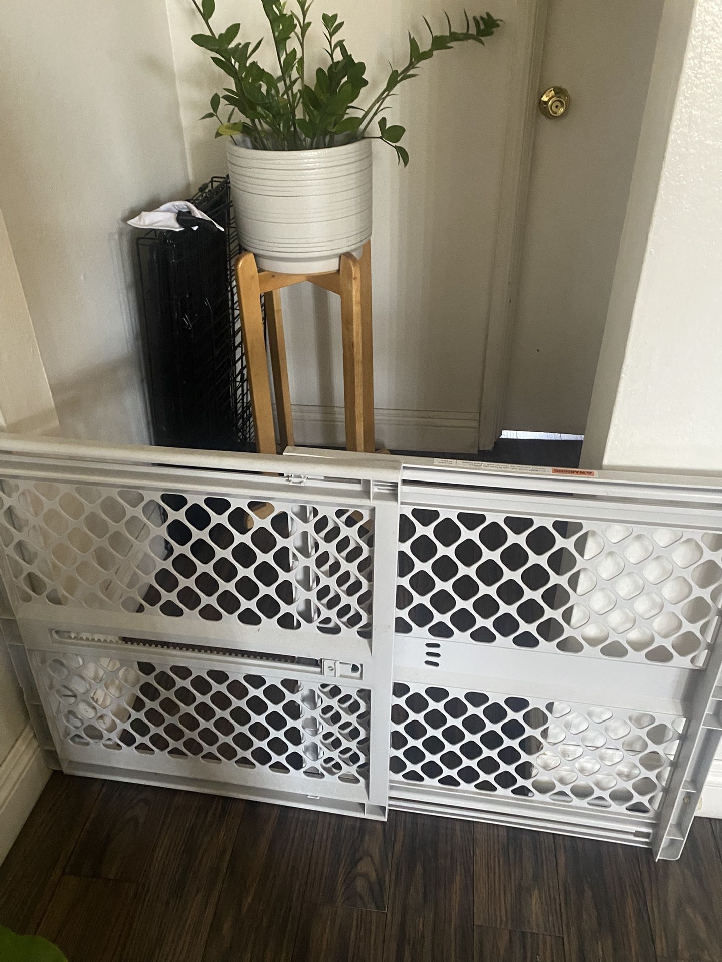 dog gate