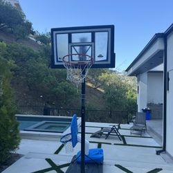 Free Basketball Hoop 