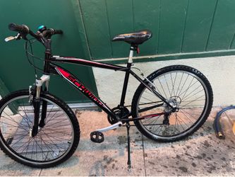 Mountain bike for adult   he needs air