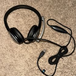 Brand New Headphones With Mic