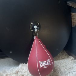 Everlast Speed Bag With Mounting Brackets 