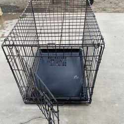 Dog Cage 
