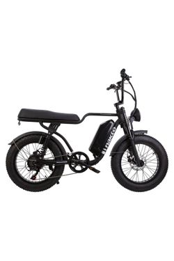 Nakto F2 Plus Fat Tire Electric Bike, 750W, 48V 16A, 20"4" all-terrain fat tires