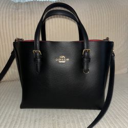 Coach Purse- Molly bag