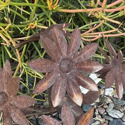 Garden Supplies 35ave/glendale 