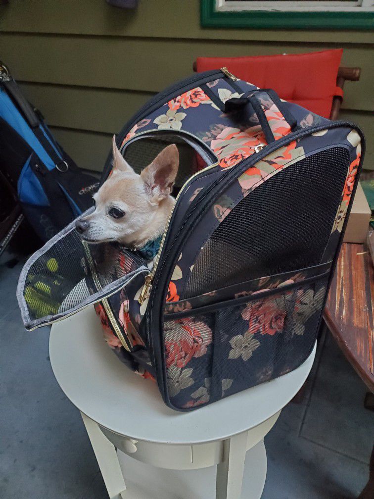 Dog Back  Pack Pack Carrier 