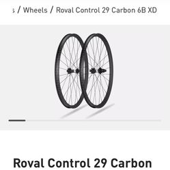 Specialized Rival Control 29 Carbon