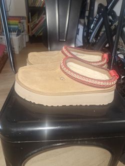Uggs Tazz