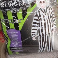 Beetle Juice Costume