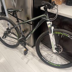 Raleigh Bike
