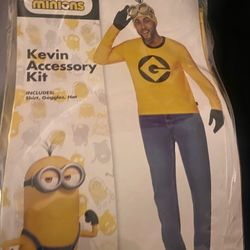 Minion Costumes