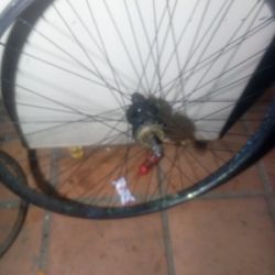 Throne 29 Double Sided Track Rim