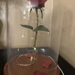 Beauty And The Beast Rose Decoration