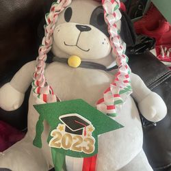 Collares De Graduación