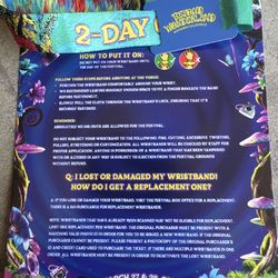 Beyond Wonderland Wristbands