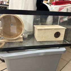 Hamster Or Other Small Pet