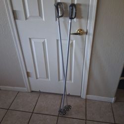 Ski poles