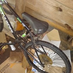 Mountain Bike