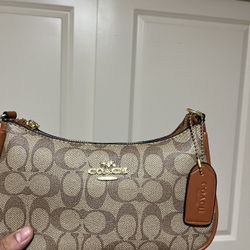 Brown Terri Coach Bag 