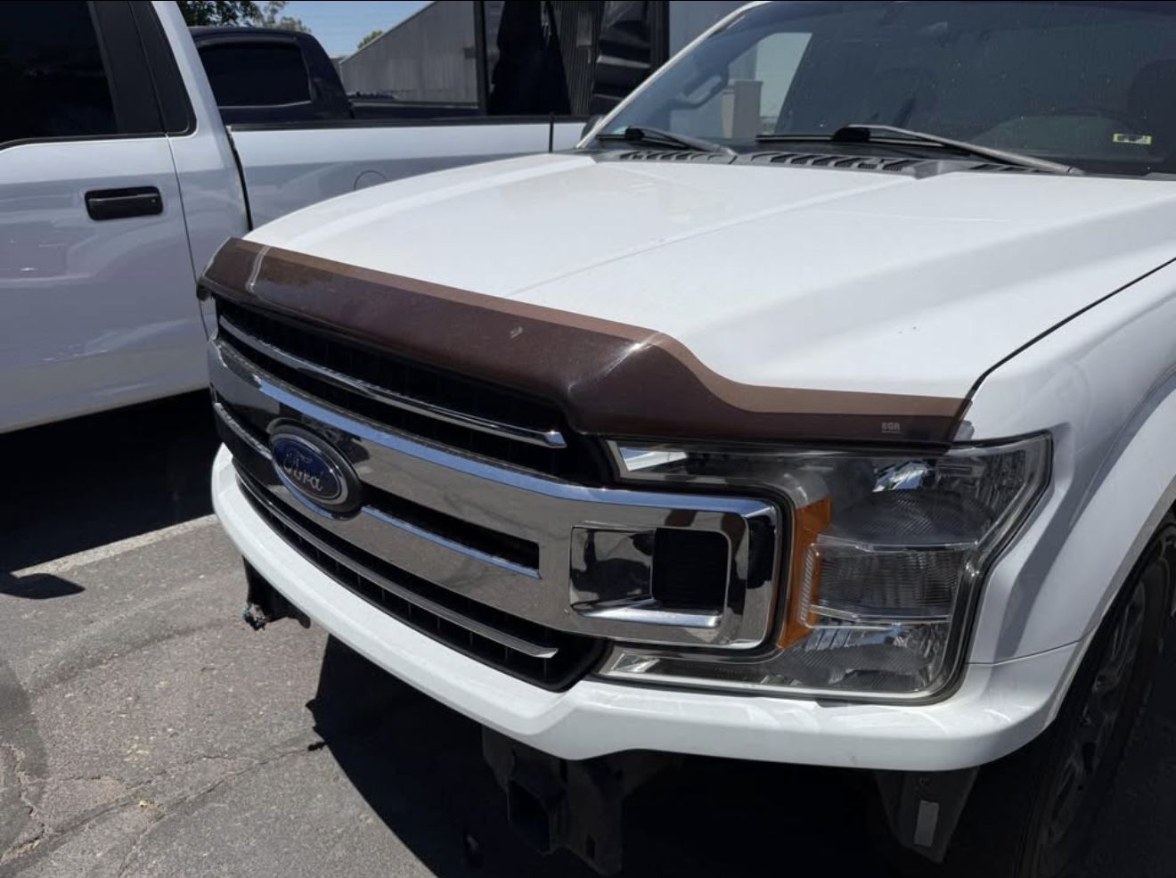 15 to 20 Ford F150 Hood Deflector