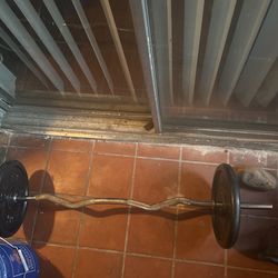 Z Bar With 20 Pounds