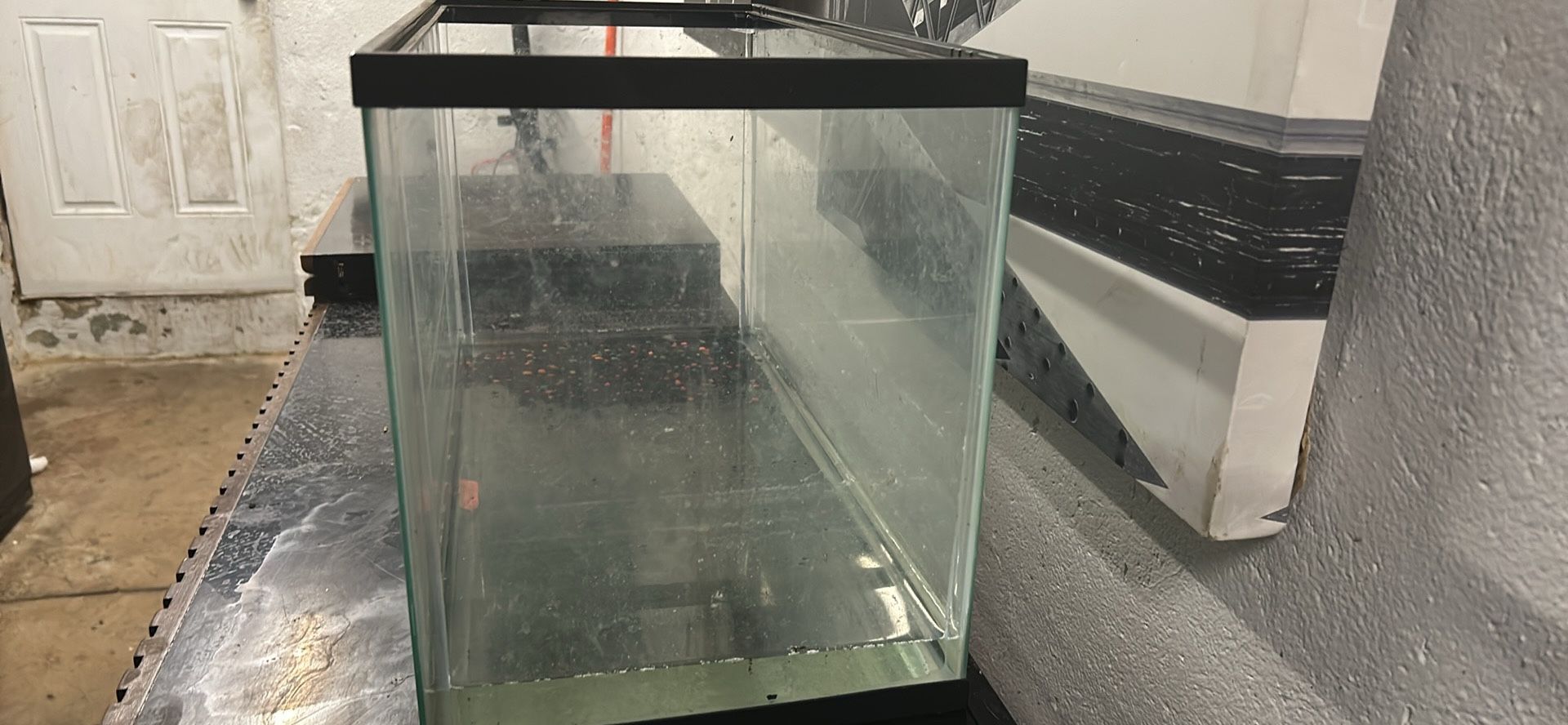 10  Gallon  Turtle /fish Tank